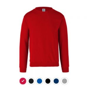 SUDADERA CUELLO REDONDO UNISEX ADULTO COLORES EEG
